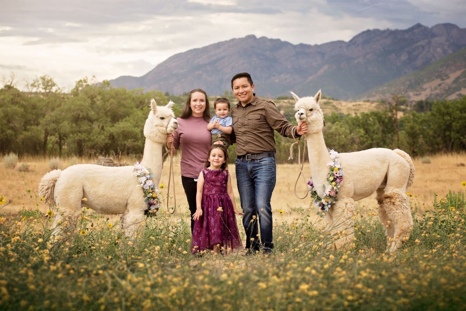 family photography with alpacas dimple dell sandy utah wildflowers