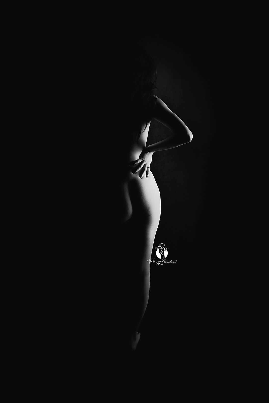 Artistic black & white silhouette photography of a woman in a minimalist pose against a dark background; boudoir portrait Lexington, SC