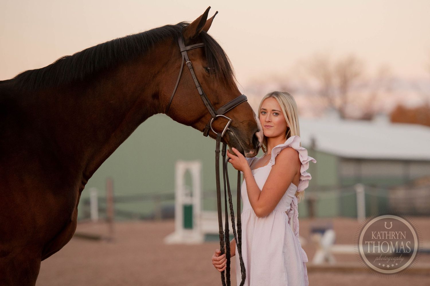A close-up shot of a bay horse and someone in white against a sunset backdrop.
