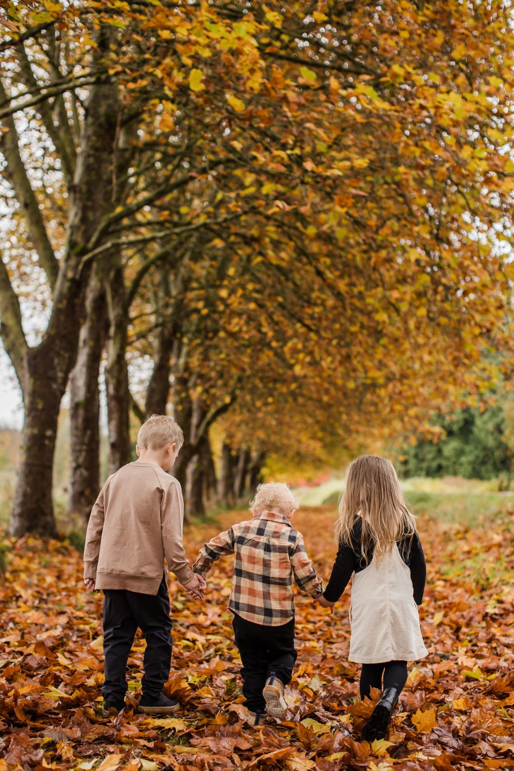 Newborn & Family Photographer Based on Camano Island and Serving Surrounding Areas.