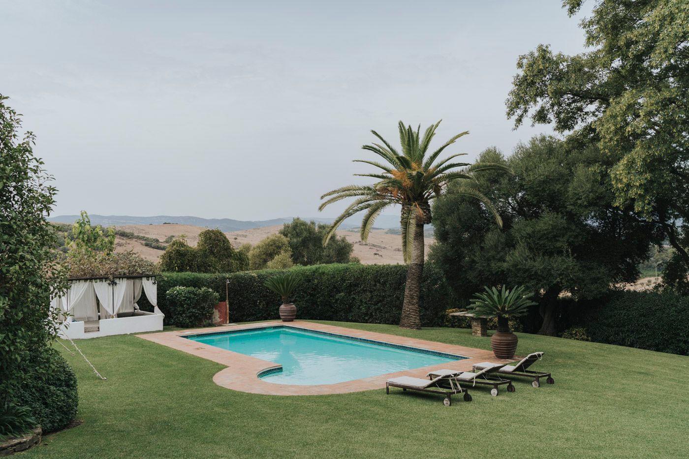 Luxurious backyard swimming pool with palm tree and lounge chairs overlooking scenic countryside views.