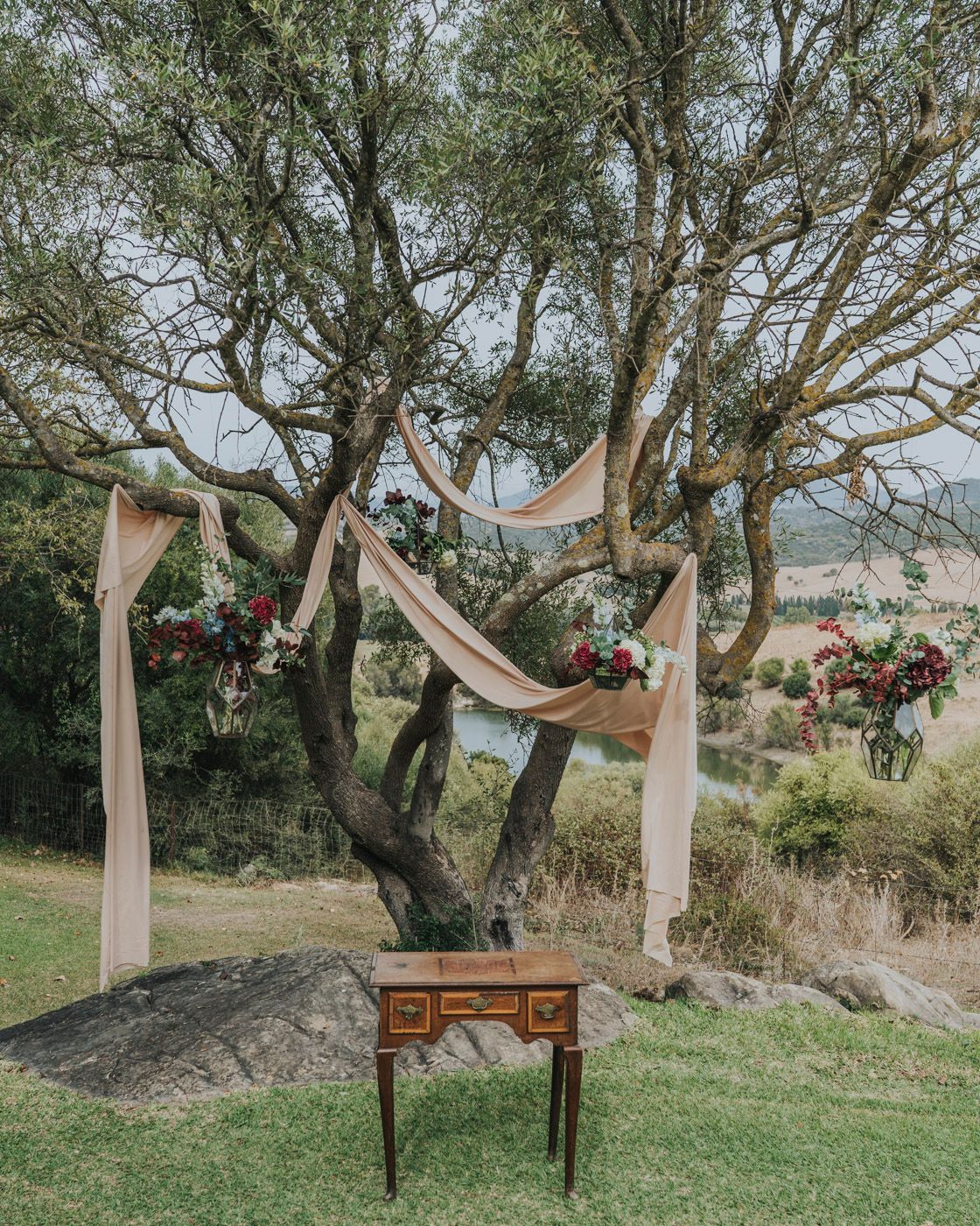Rustic outdoor wedding ceremony setup with flowy blush fabric draped from an olive tree and pink floral arrangements.