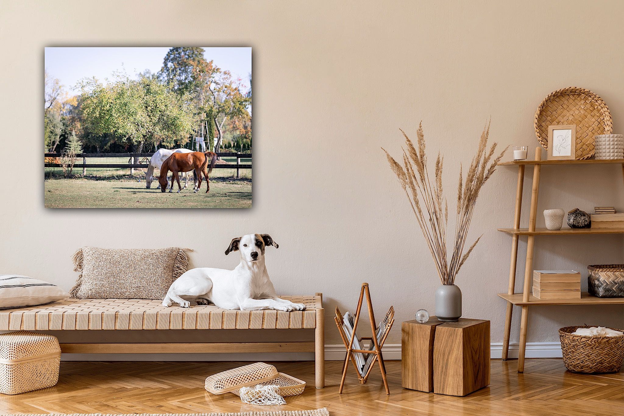 Wall art display, photo of horses in a field in a room with farmhouse decor and a jack Russel terrier. Copyright Amanda Barr Photography