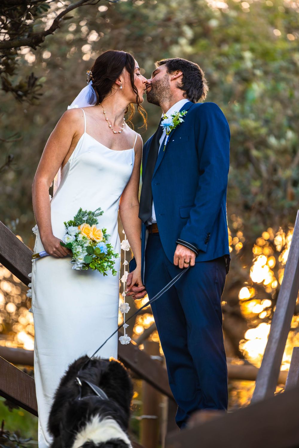 Bride and groom giving each other a kiss with their dog in lower left of the image as they walked down a set of stairs to the beach
