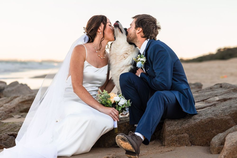 Husband and wife sitting on the rocks at a Sunshine Coast Beach both kissing their dog on the head.