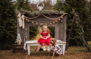 A festive outdoor holiday photo setup with string lights, rustic wooden backdrop, and Christmas decor in a natural setting.