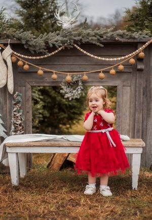 A festive holiday scene with a red tulle dress against a rustic wooden backdrop decorated with string lights and evergreen branches.