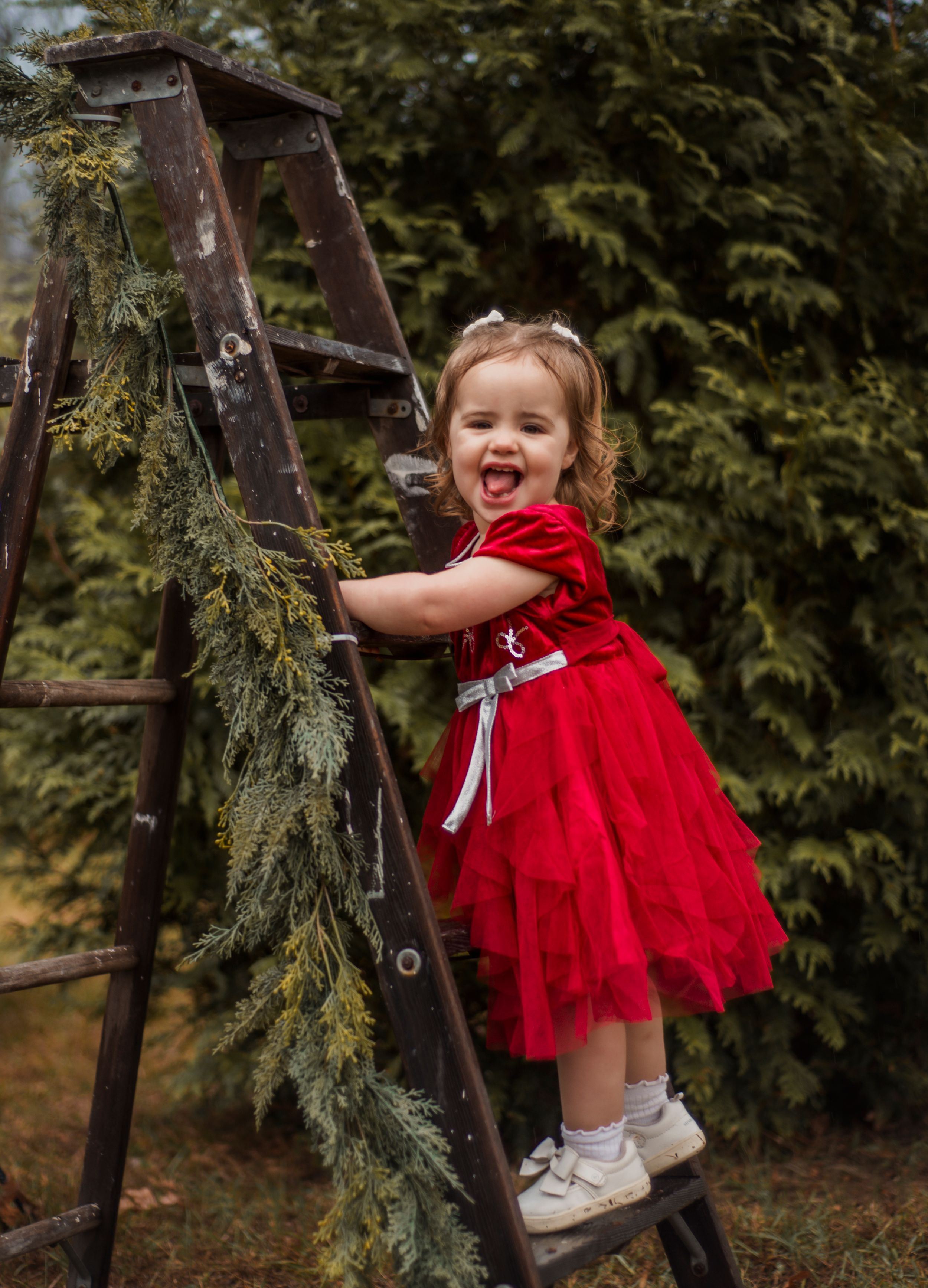 A figure in a bright red dress climbs a rustic wooden ladder against a backdrop of evergreen trees.