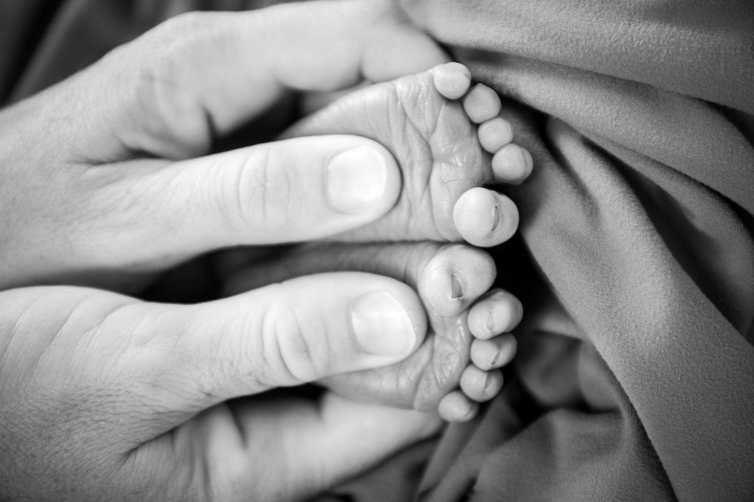 Close up black and white image of tiny baby feet being gently held by adult hands.