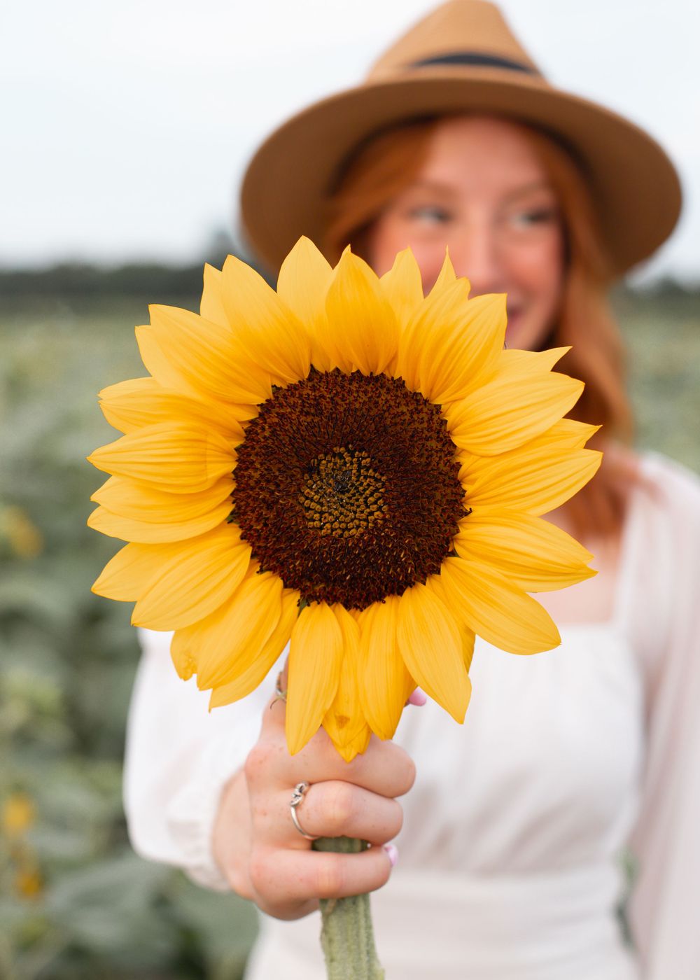 Professional Photography Janesville Wisconsin
Friends
Love
Friendship
Sunflowers
Natural Light