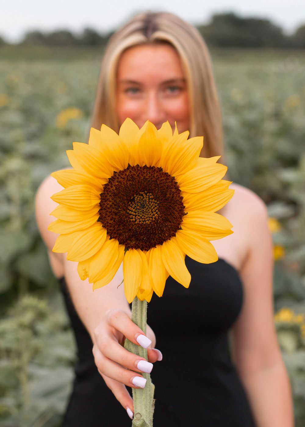 Professional Photography Janesville Wisconsin
Friends
Love
Friendship
Sunflowers
Natural Light