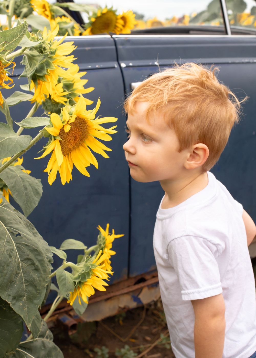 Professional Photography Janesville Wisconsin
Family
Love
Children
Sunflowers
Natural Light