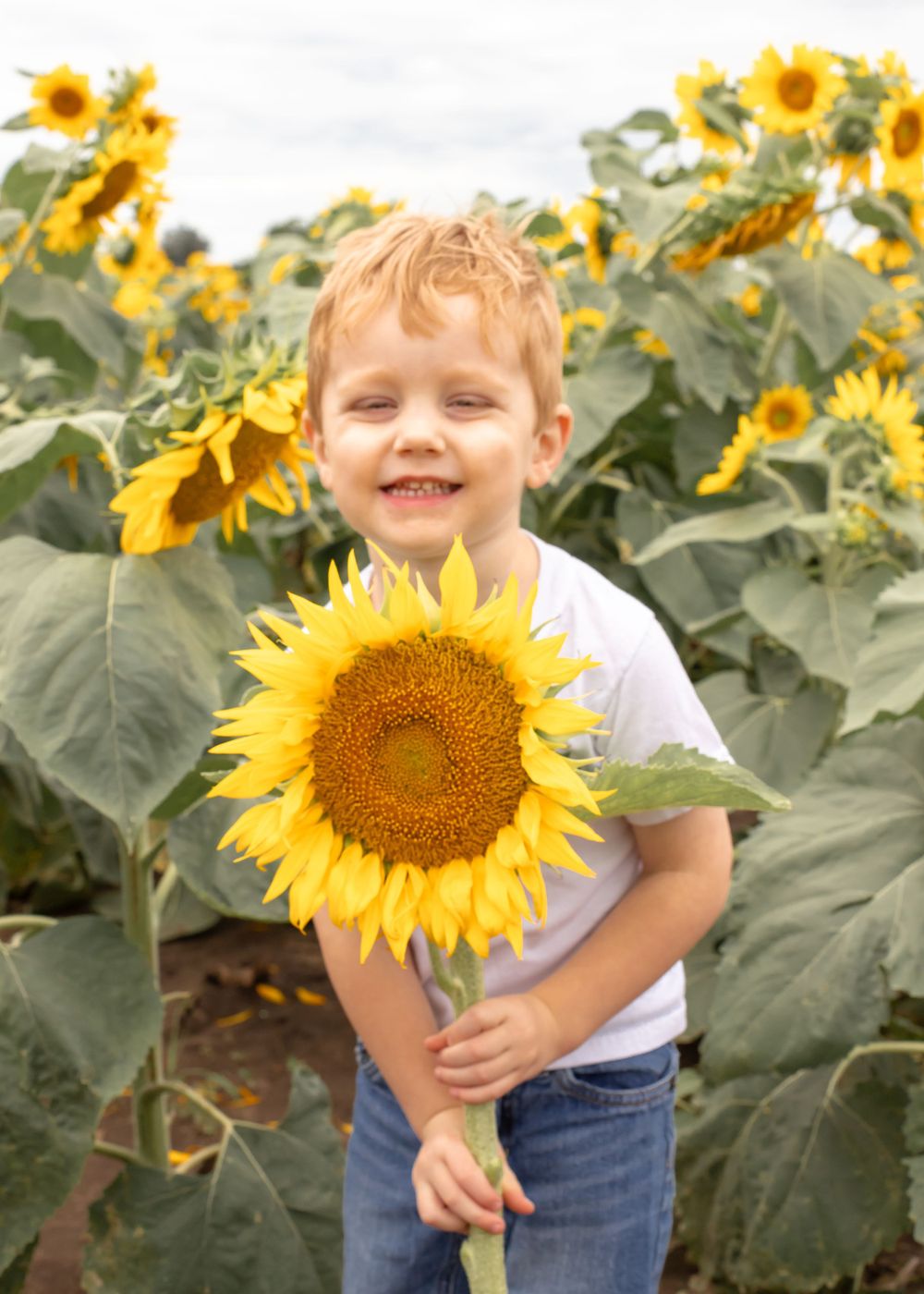 Professional Photography Janesville Wisconsin
Family
Love
Children
Sunflowers
Natural Light
