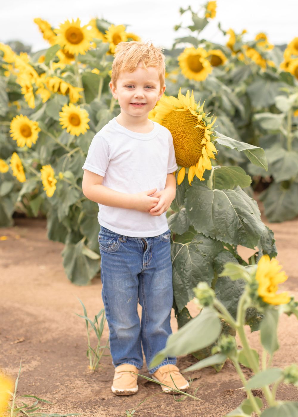 Professional Photography Janesville Wisconsin
Family
Love
Children
Sunflowers
Natural Light