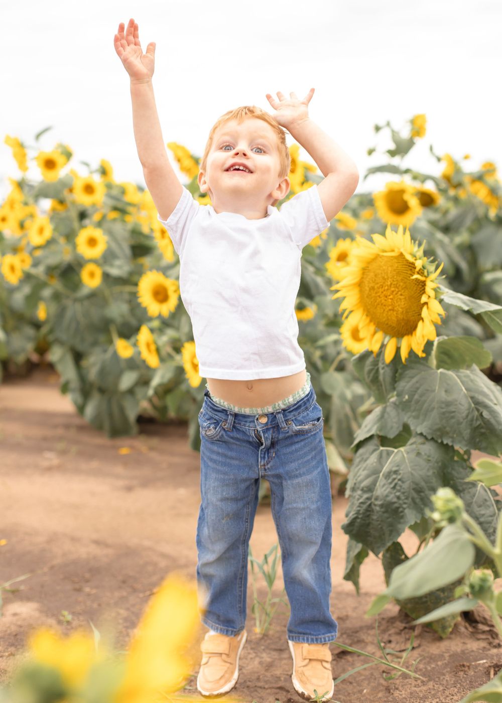 Professional Photography Janesville Wisconsin
Family
Love
Children
Sunflowers
Natural Light
