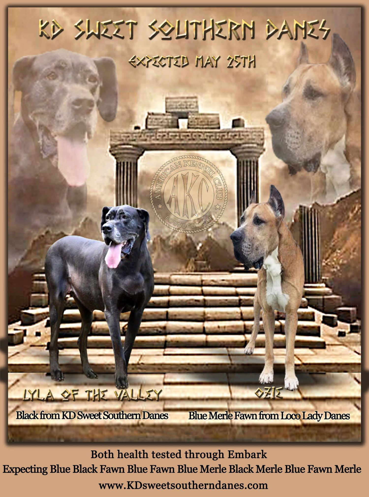 Vintage-style banner showing Great Danes against classical architecture background.