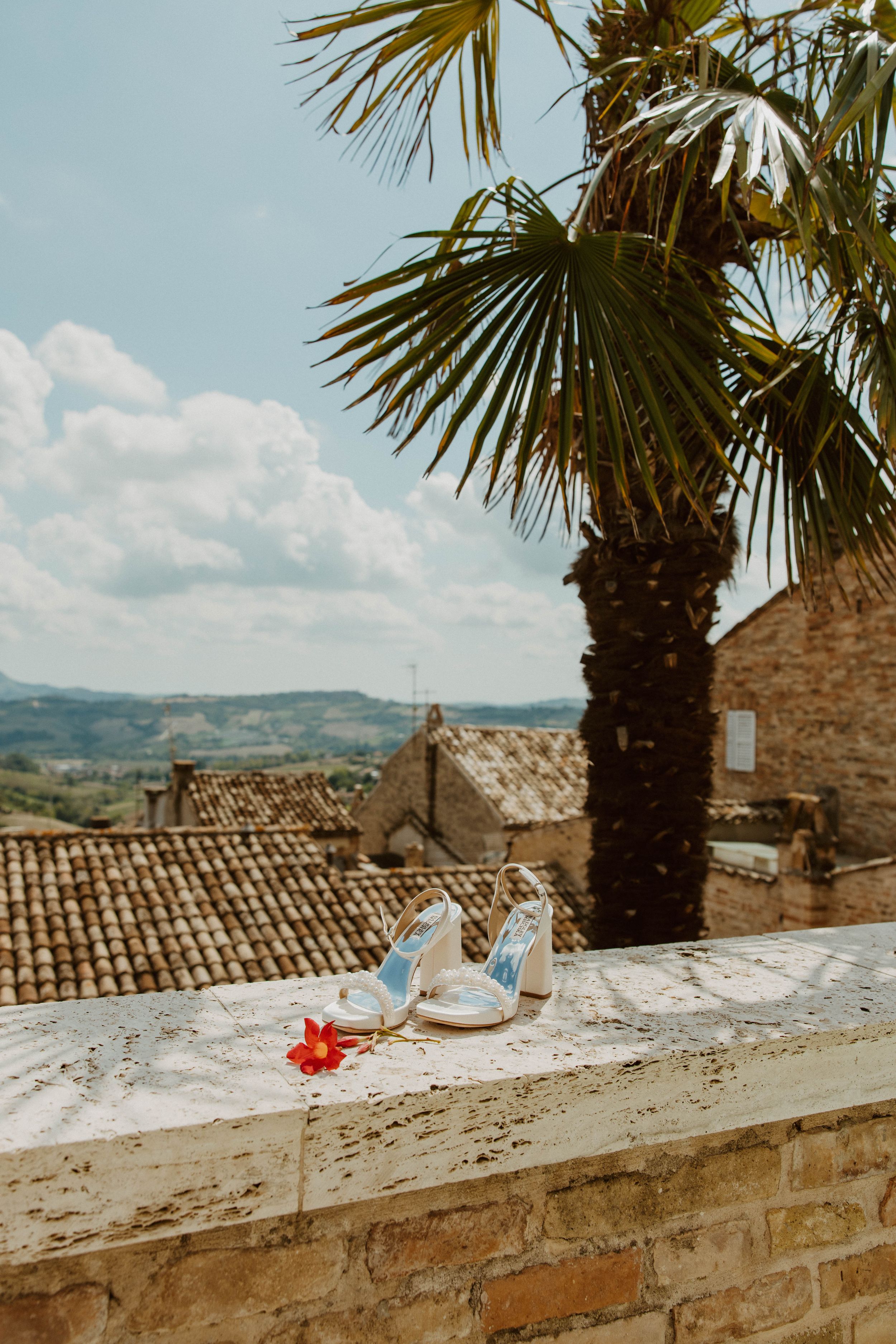 Palm trees frame view of tiled rooftops and mountains in Mediterranean setting.