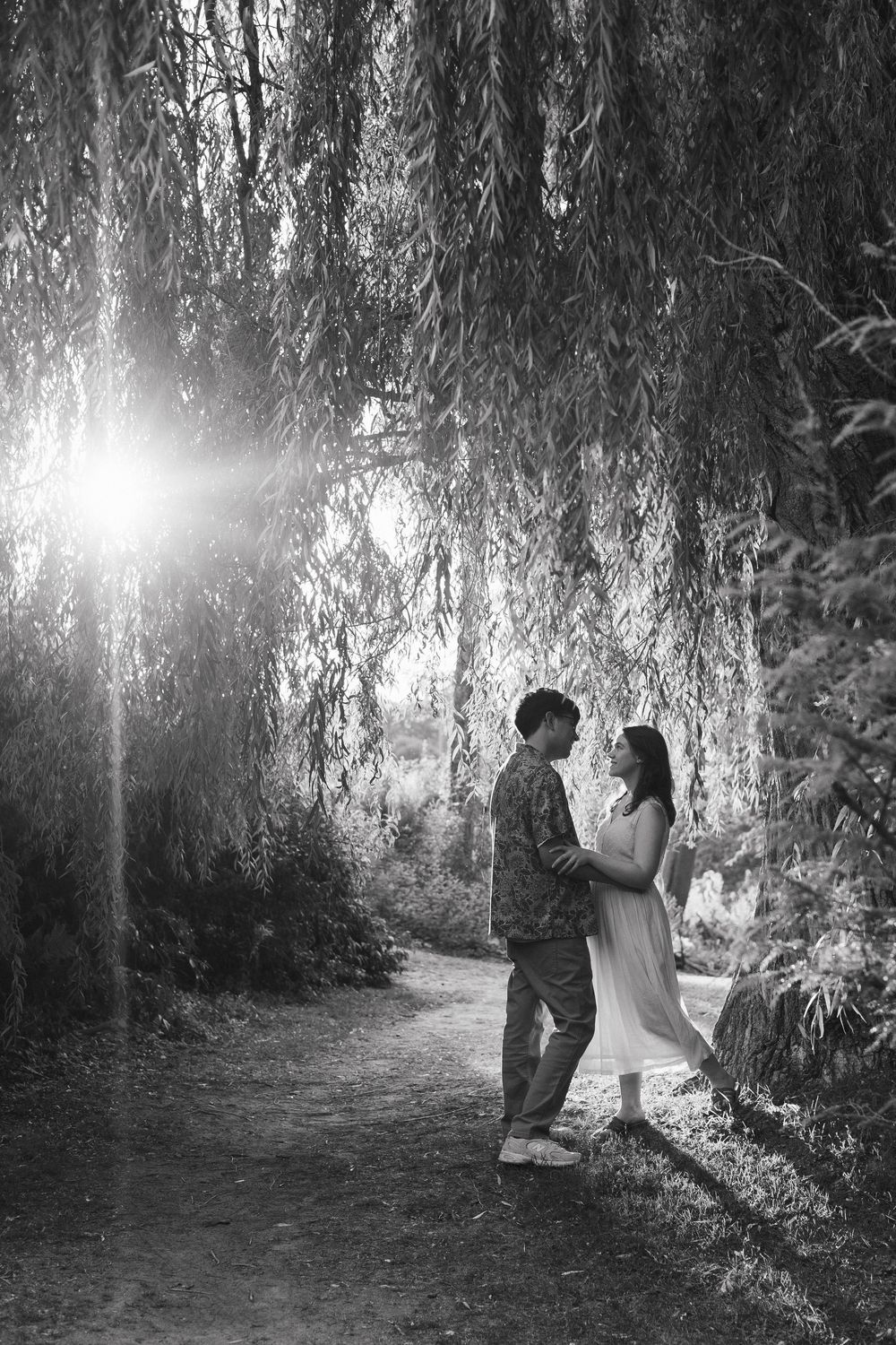 A romantic black and white sequence of two people walking under weeping willow trees with dramatic sunlight filtering through.