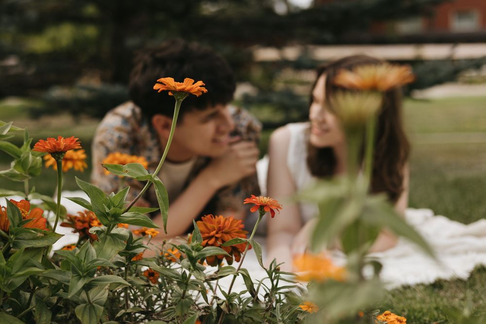 Orange zinnias bloom in foreground while two people enjoy a picnic on a blanket in a sunny garden setting.
