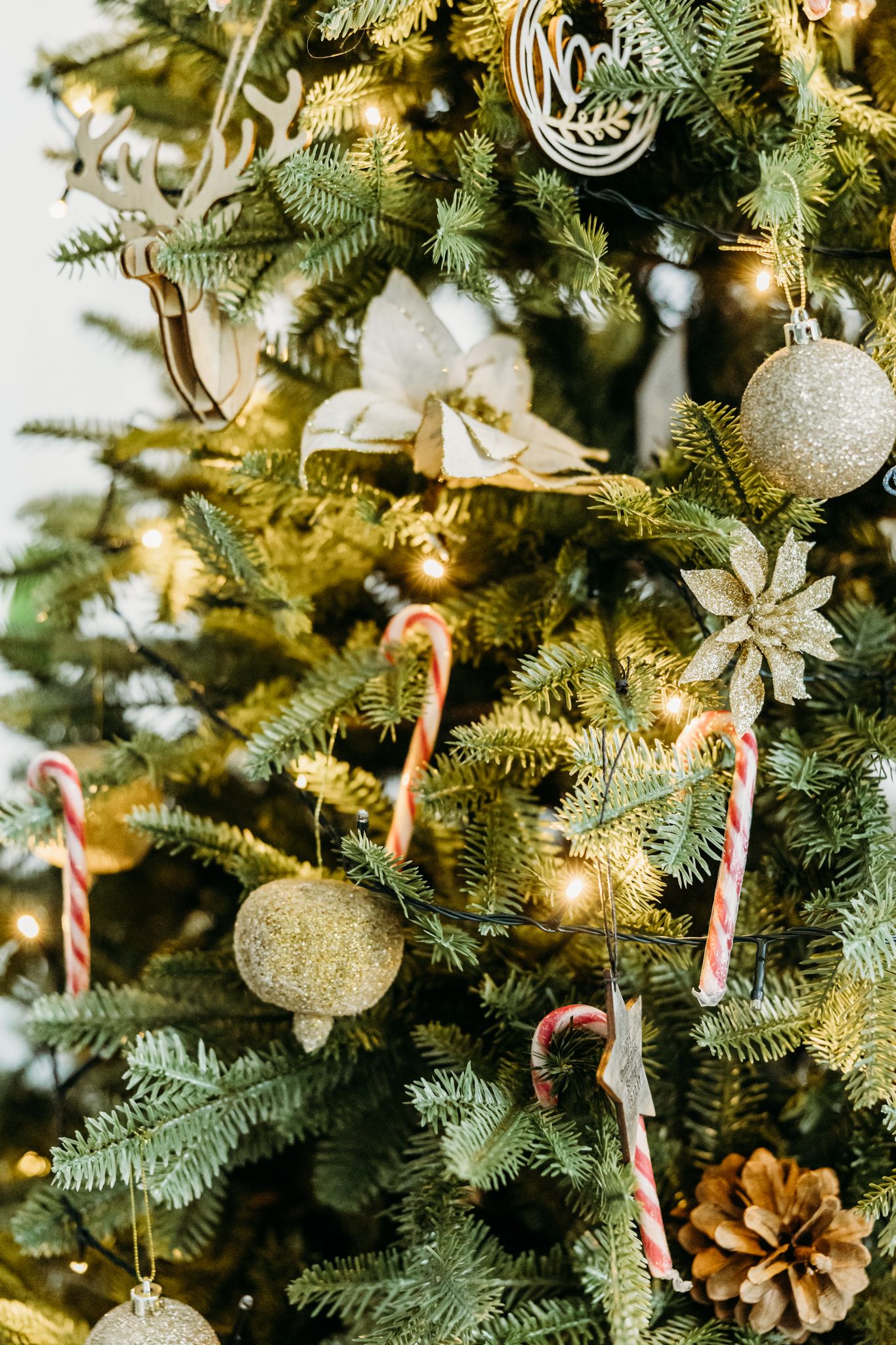 Christmas mini werribee