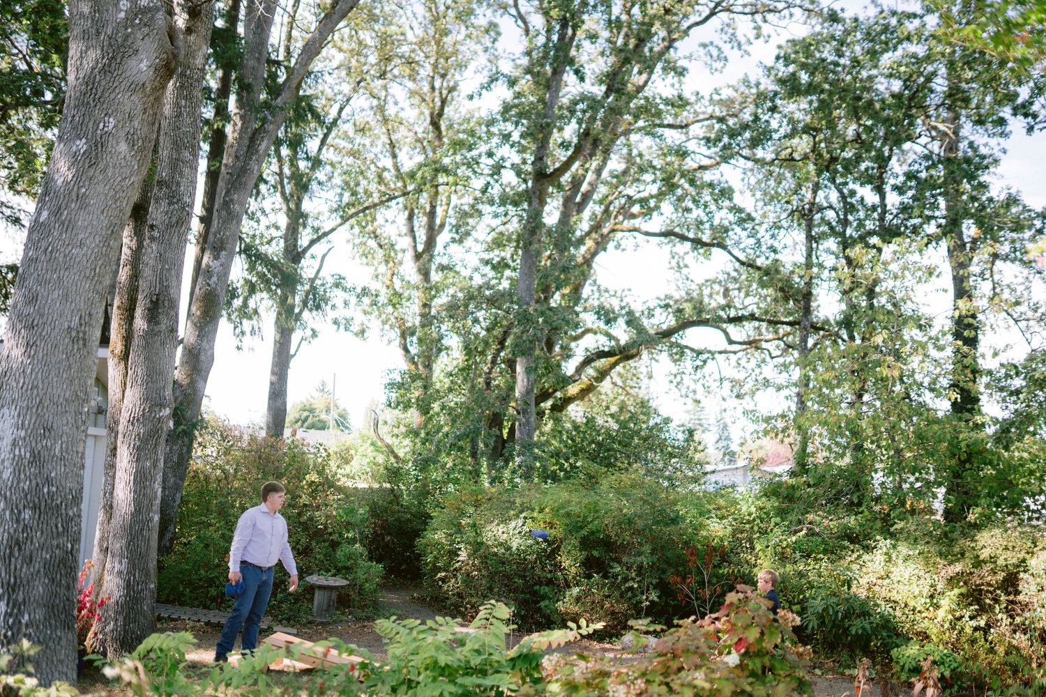 Scenic wooded outdoor area with tall trees and natural lighting creating a serene atmosphere.