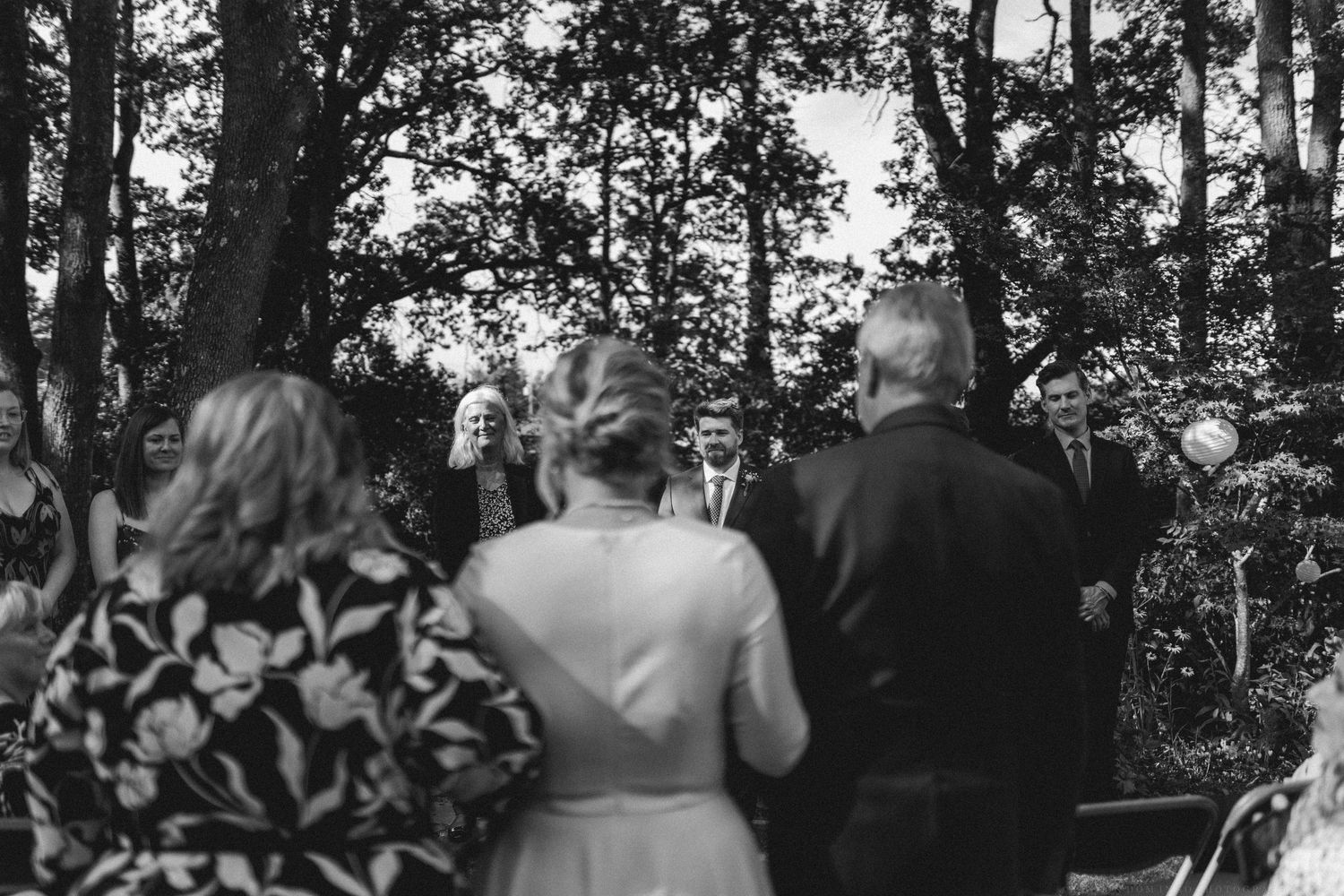 Outdoor gathering of people under trees at dusk.