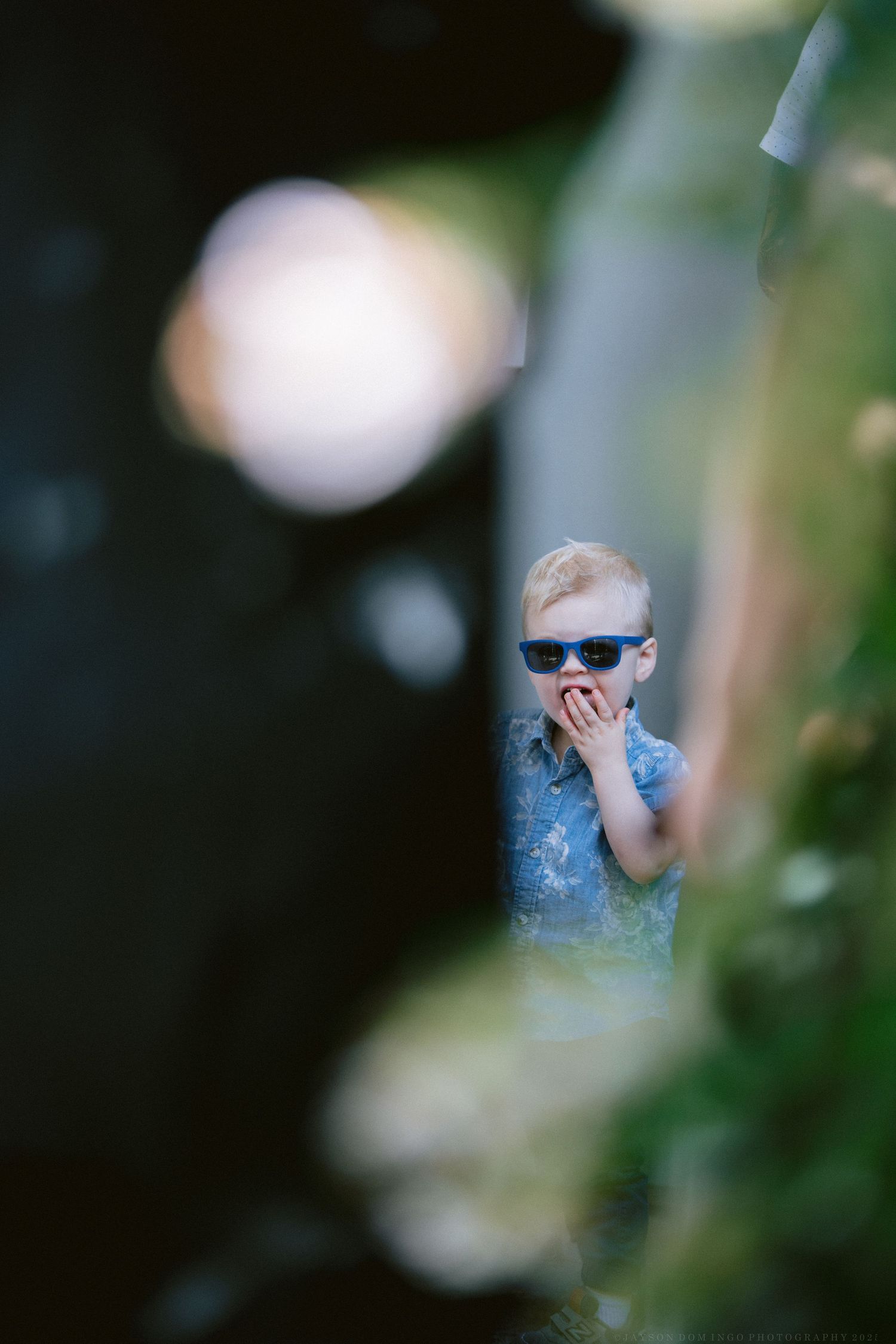 Artistic blurred photo through foliage with soft focus elements.