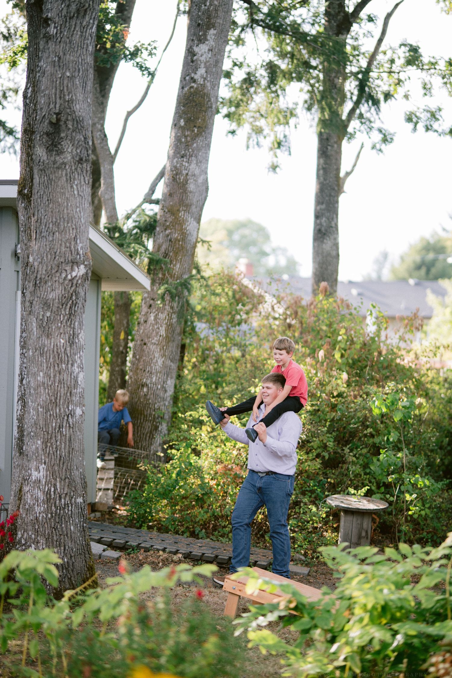 Series of playful photos taken between trees in a garden setting.