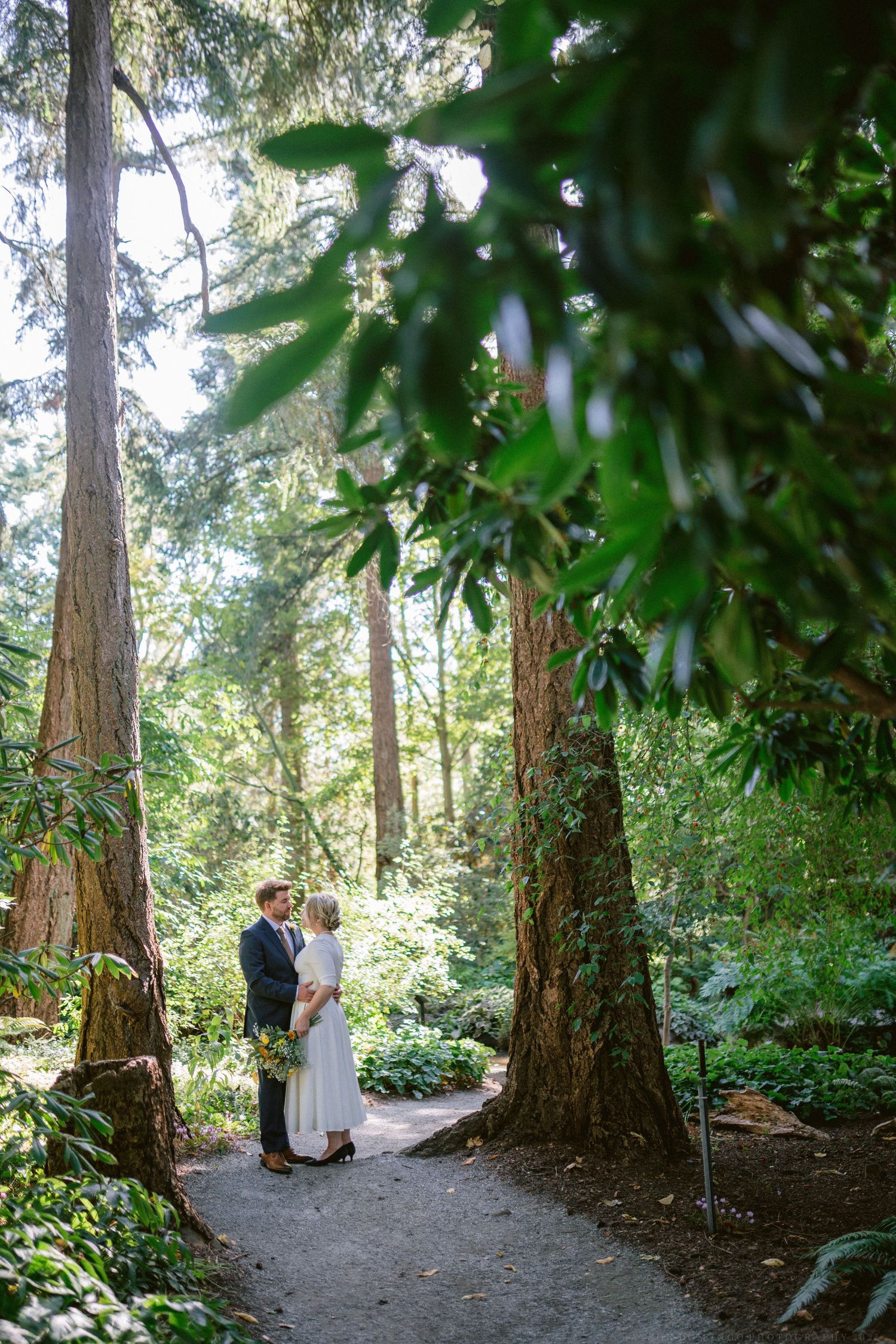 Romantic wedding photography session in a serene forest setting with towering pine trees.