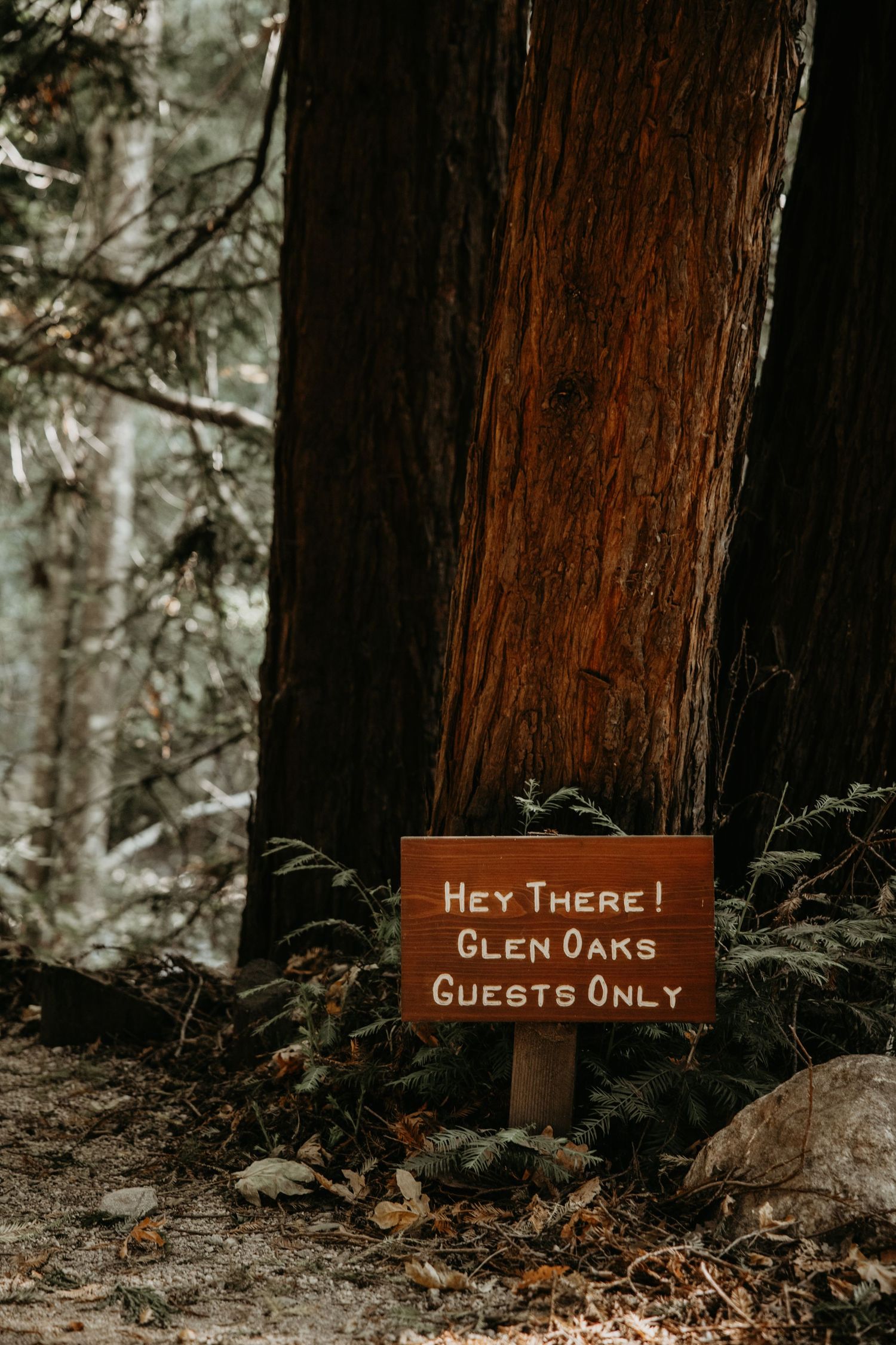 glen oaks big sur wedding venues