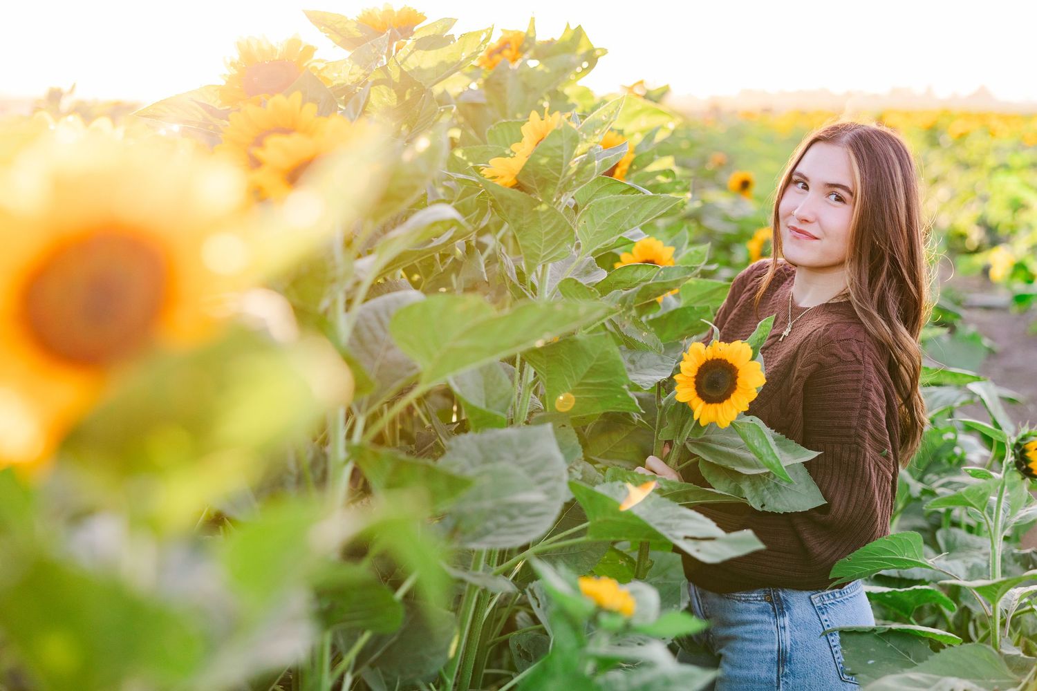 Someone poses with bright yellow sunflowers in a garden field during golden hour sunset lighting.