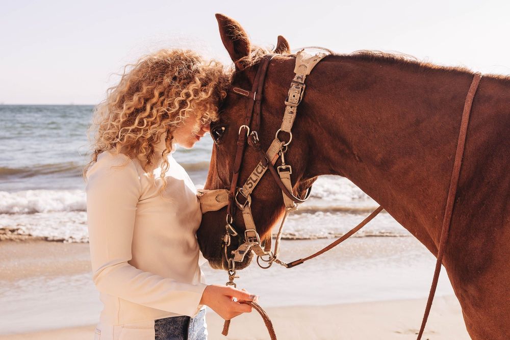 A couple walks along a sandy beach with their brown horse near the ocean waves at sunset.
