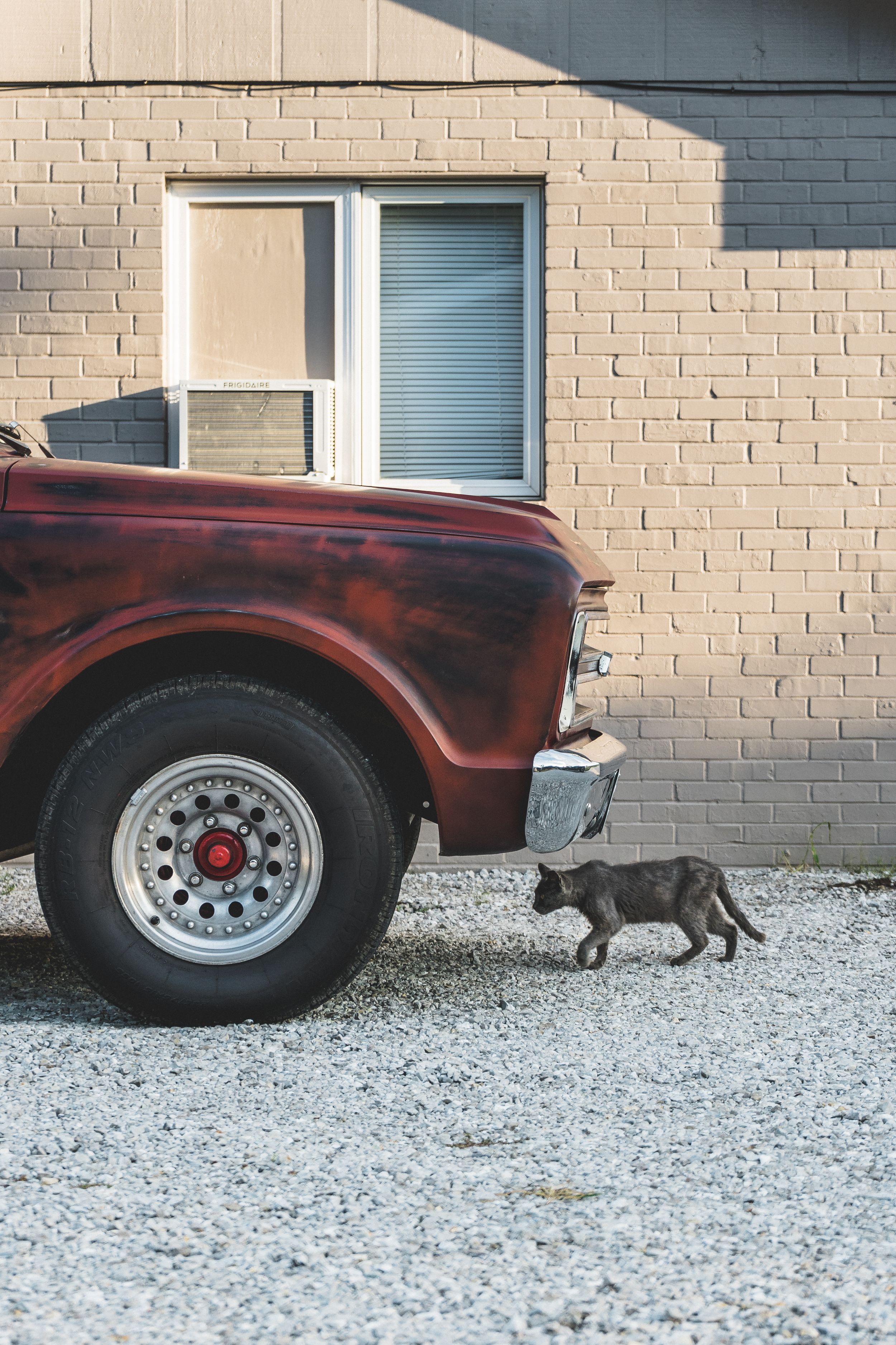 A gray cat walks past the front wheel of a vintage red truck parked next to a beige brick wall.