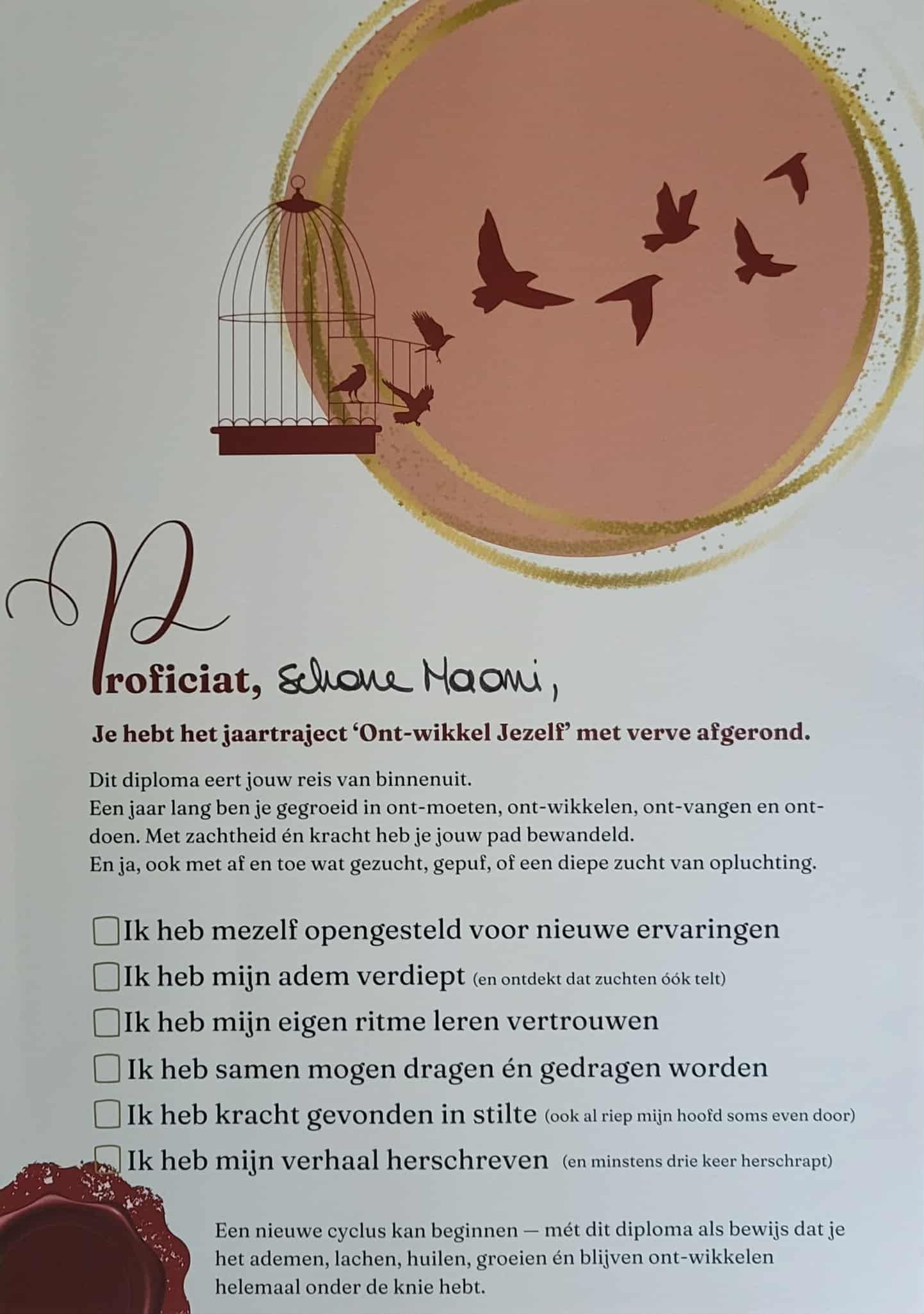 Diploma Ademruimte Academie