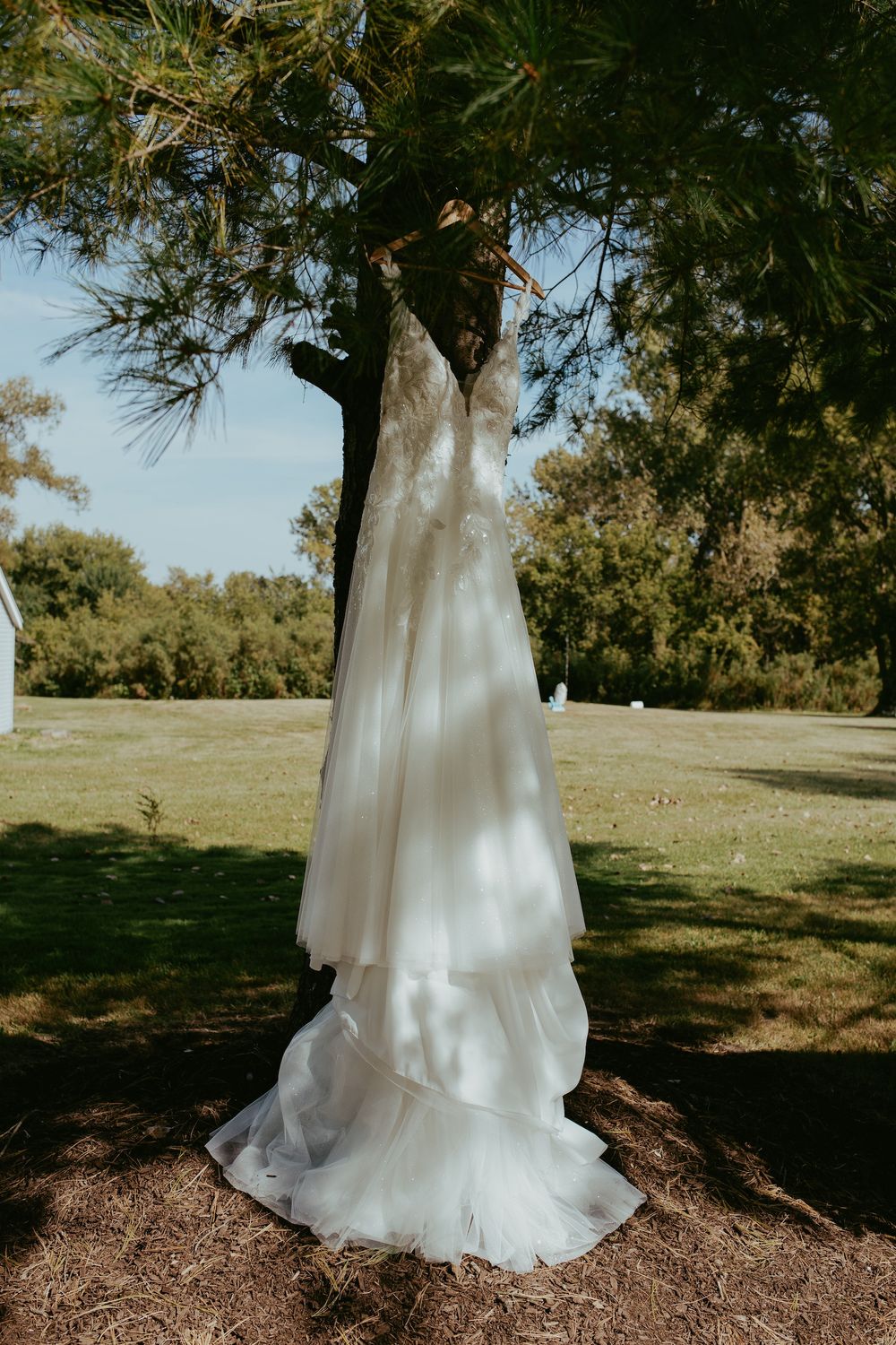 A white wedding dress hangs elegantly from a tree branch in a sunlit outdoor garden setting.