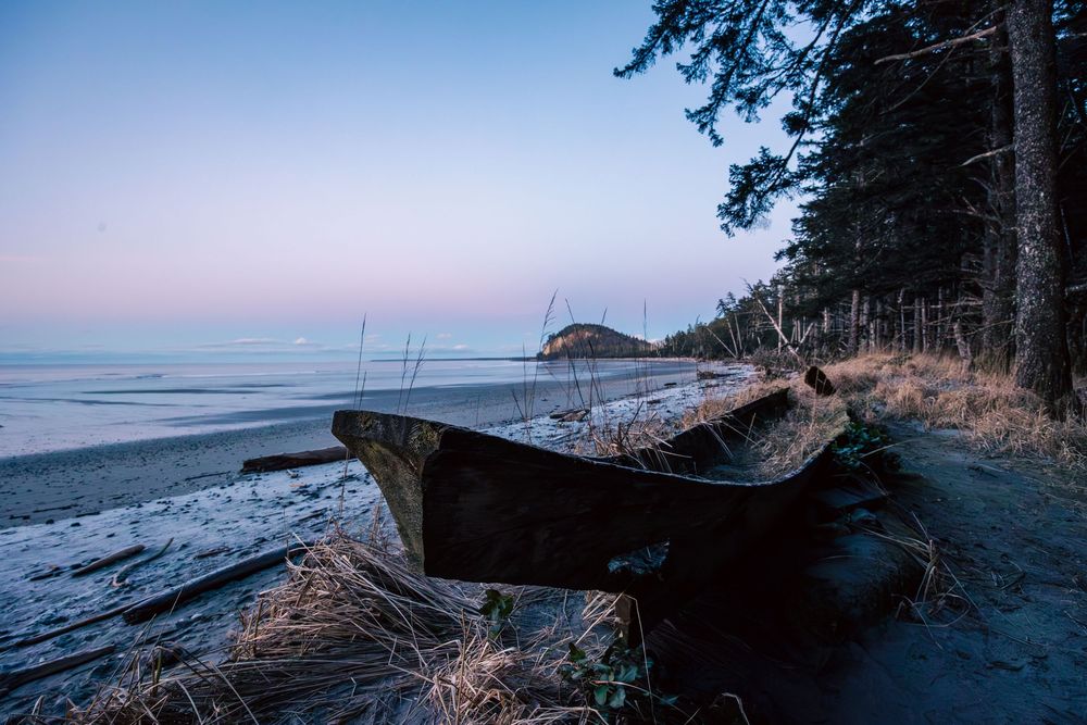 Scenic panoramic view of a rocky coastline at dusk with dark silhouettes of trees against a moody blue sky.