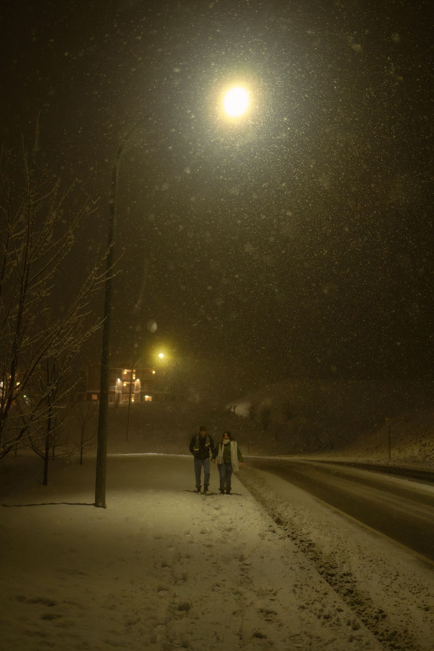 Snowy couples portrait session under a streetlight in Pullman, Washington by Katelyn’s Kandids