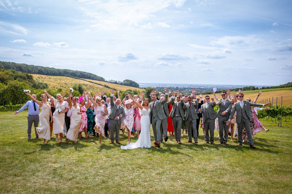 Large wedding group photo outdoors on green lawn with rolling hills and vineyard backdrop on sunny day.