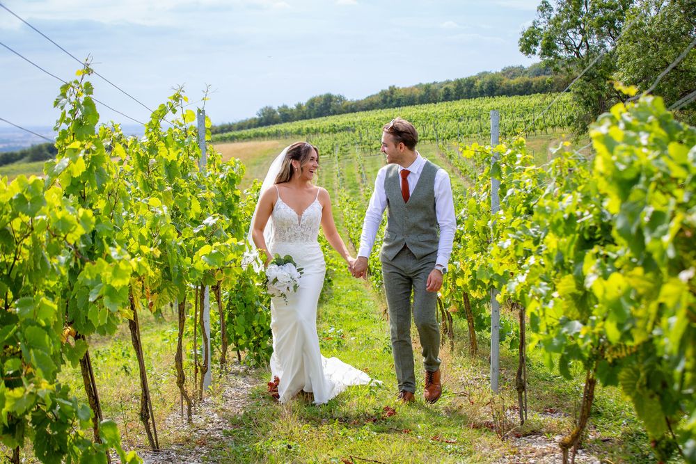 Bride and groom walk hand in hand through lush green vineyard rows on sunny wedding day.