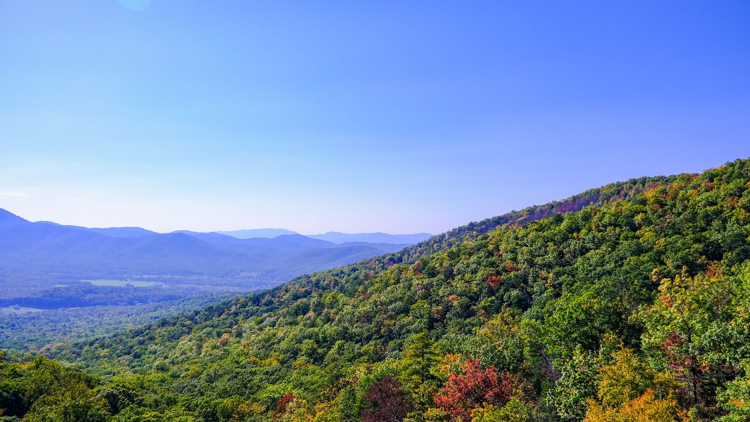 Panoramic view of rolling mountains covered in lush green forest under a bright blue sky during summer.