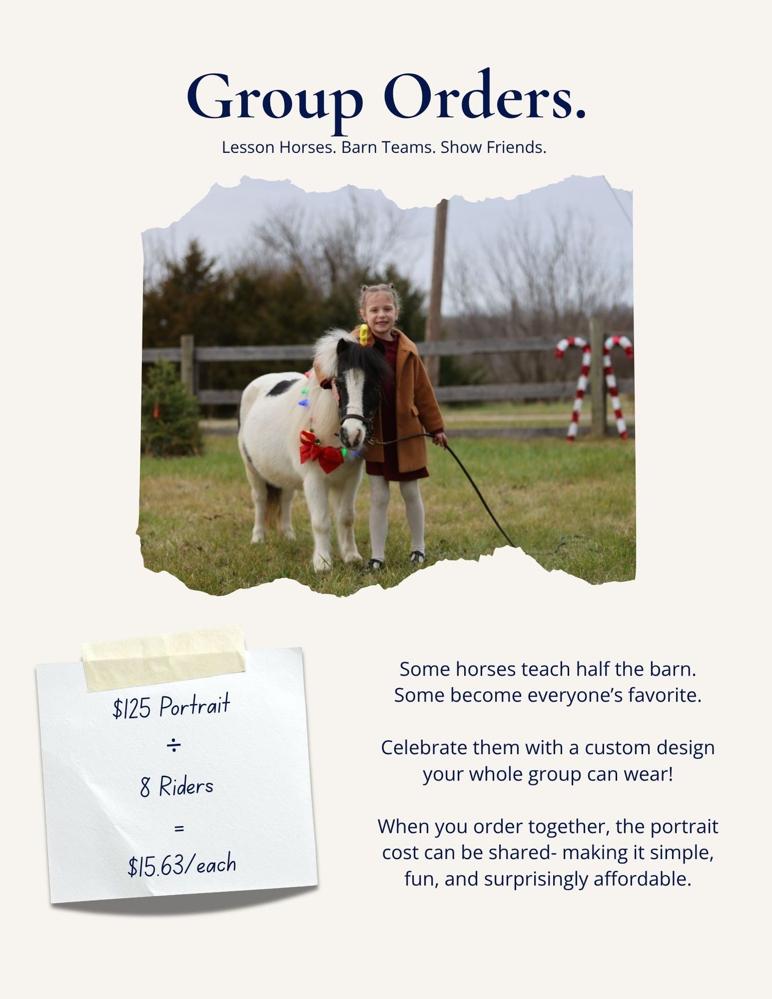 Promotional image showing a group portrait pricing offer with someone standing next to a white pony in a grassy field.