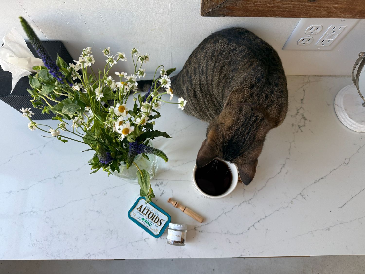 A cat sniffs a bouquet of flowers on a table with various household items.