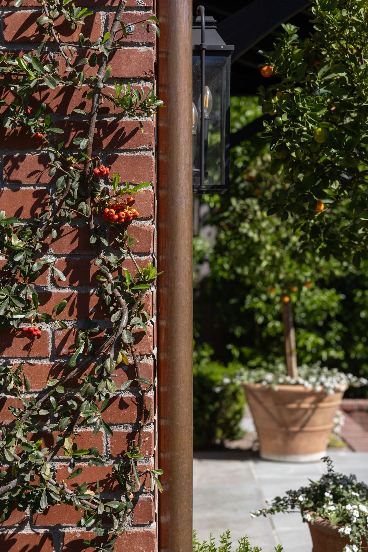 Rustic brick wall with climbing vines and a metal lamp post against lush greenery and terracotta planters in a garden setting. Jen Wilbur