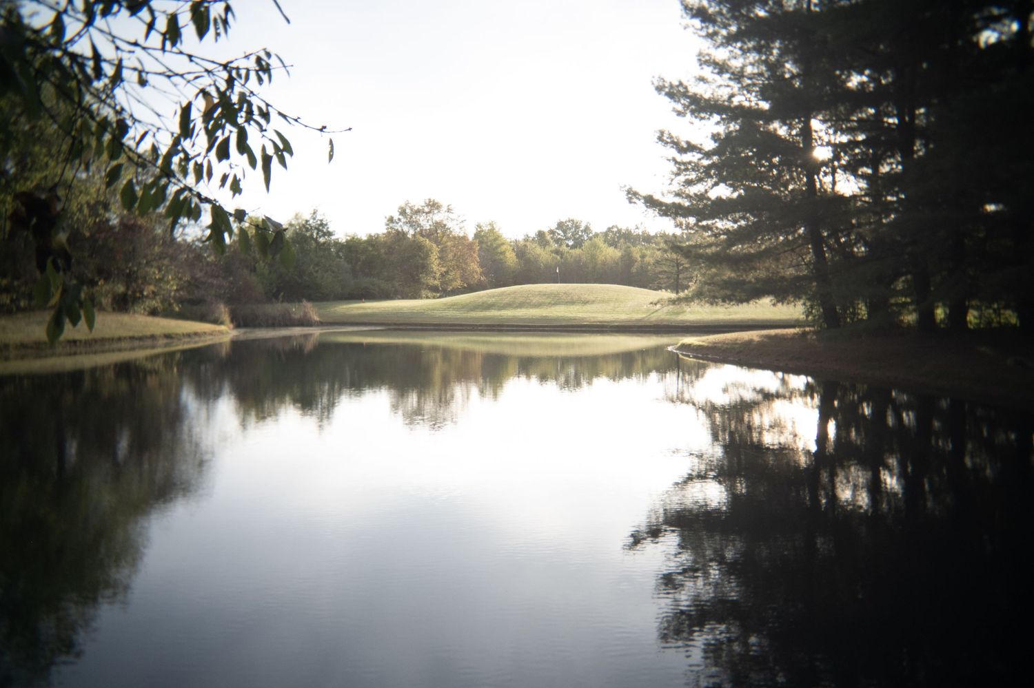 At Ease Estate serene lake reflection with pine trees and golden sunlight creating a peaceful landscape.