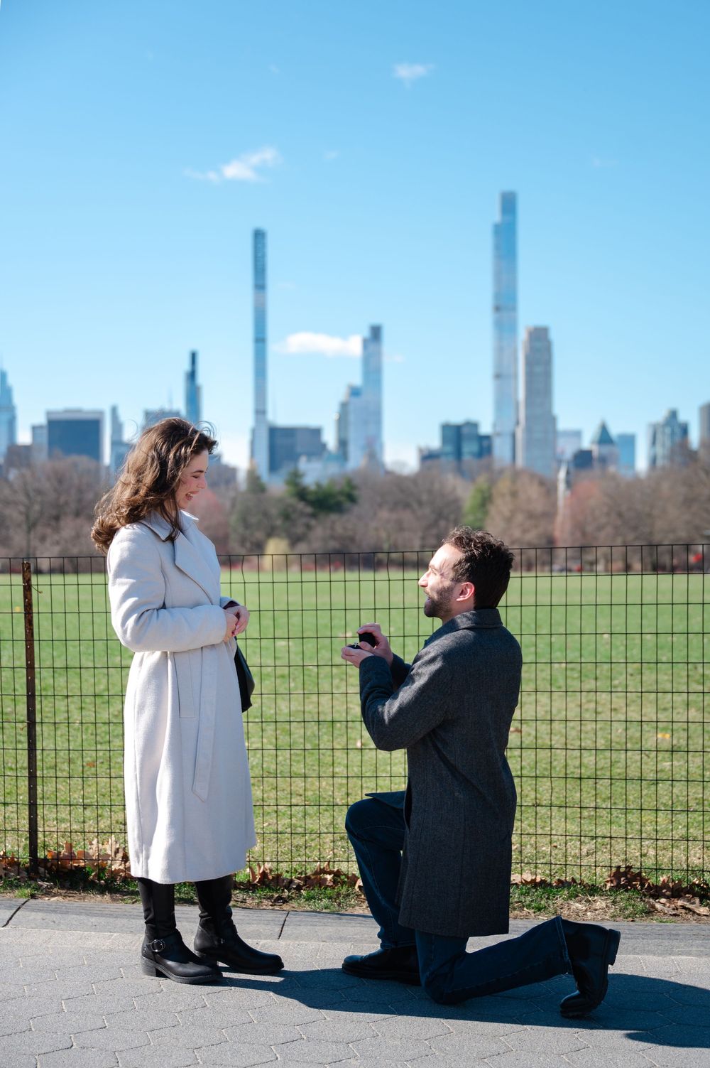 A romantic proposal scene unfolds in sequence against the New York City skyline at Central Park.