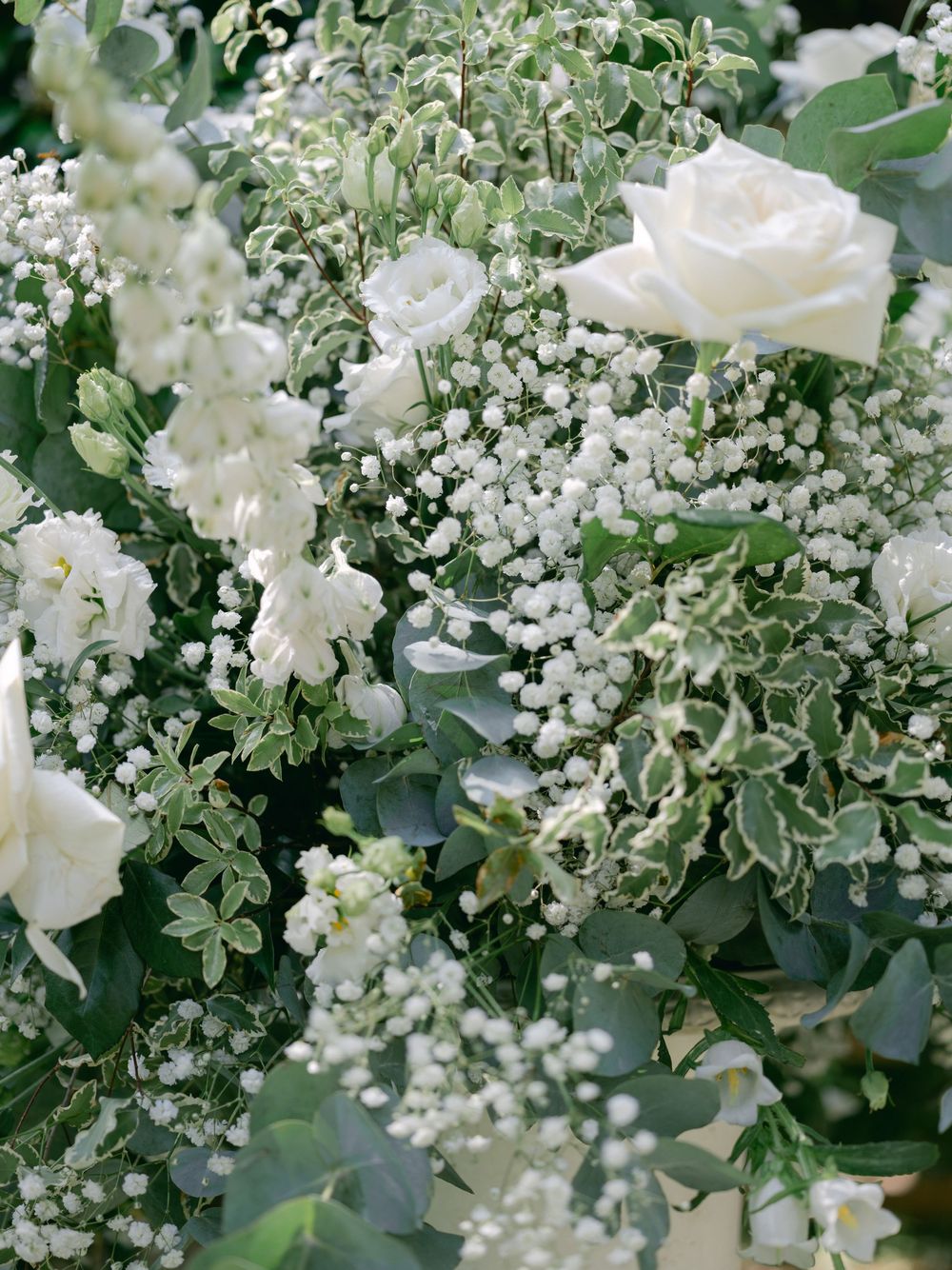 Delicate white roses and baby's breath create an ethereal floral arrangement with soft green foliage.