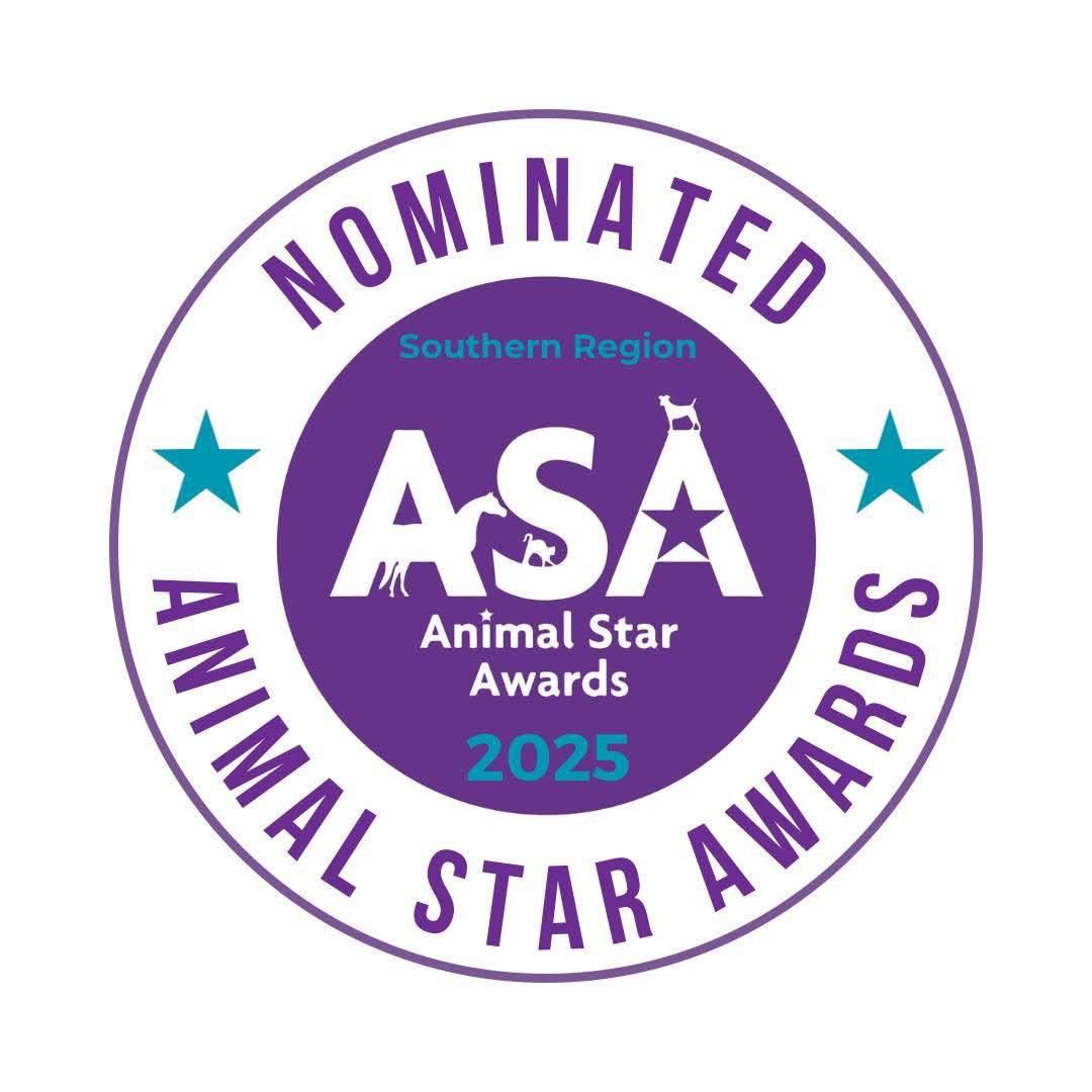 Purple and teal Animal Star Awards nomination badges arranged in a row.
