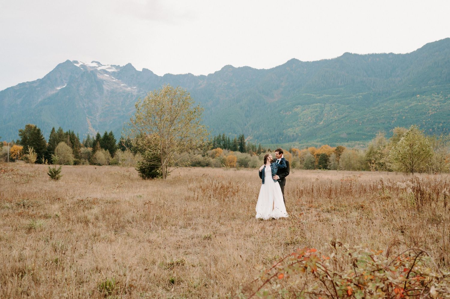 Open field with mountain range backdrop and scattered trees in golden light.