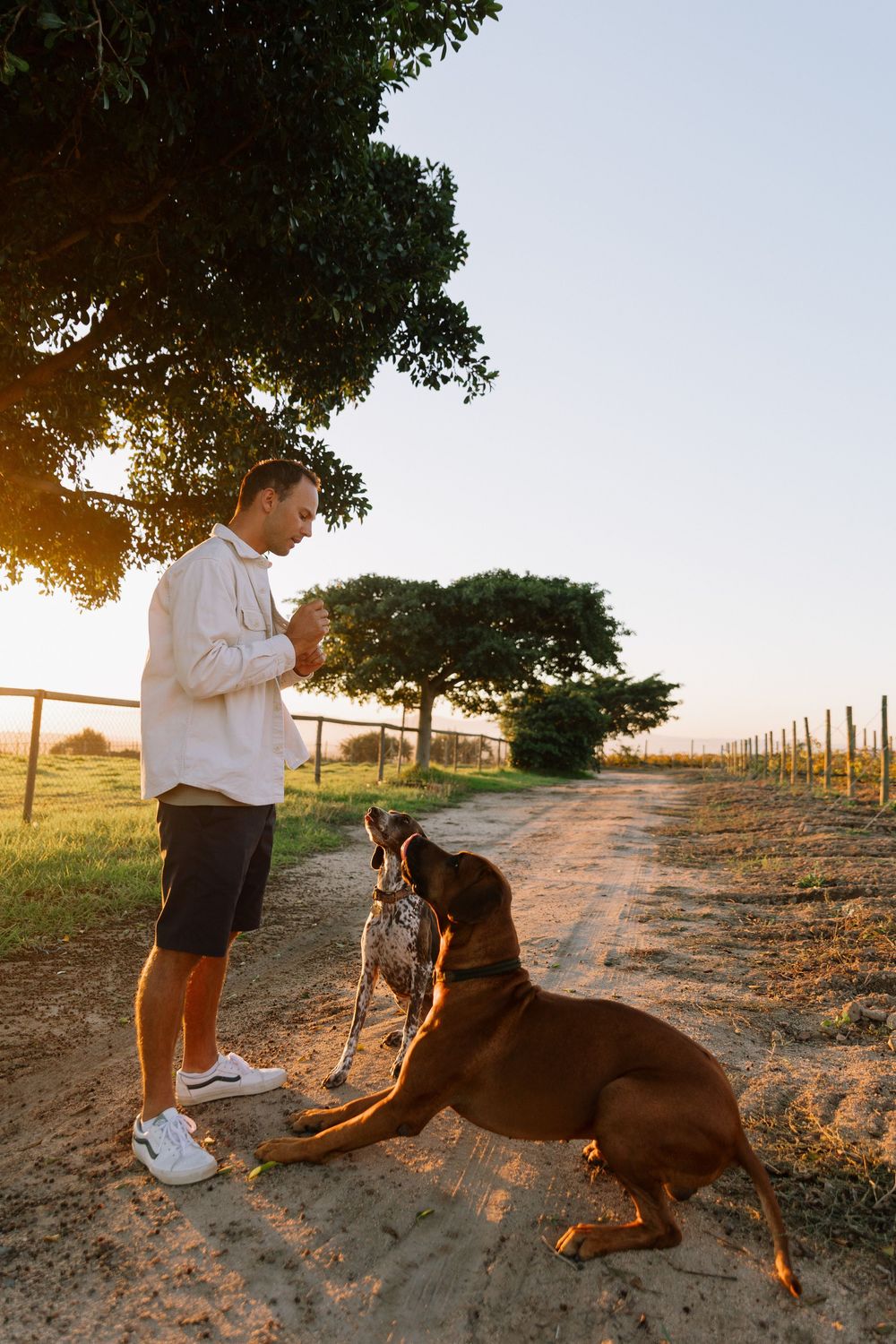 A person in casual attire stands with their brown dog on a dirt path at sunset.