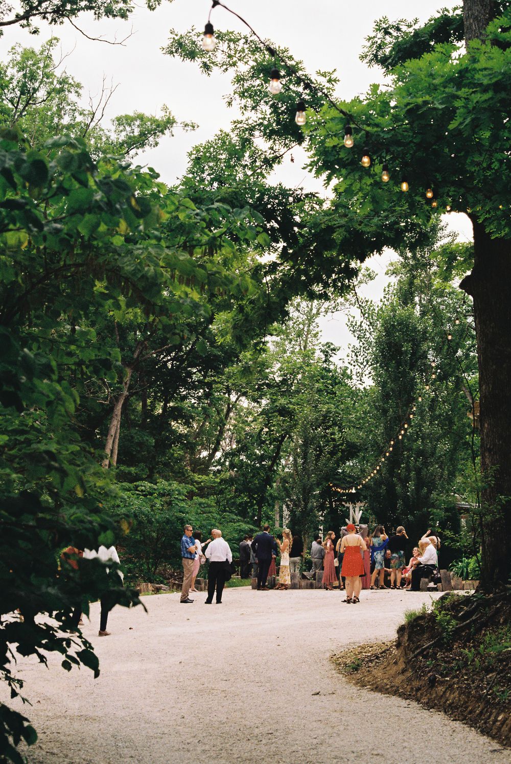 renaissance wine garden wedding venue St. Louis cocktail hour